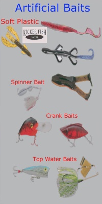 artificial-baits-for-the-lake