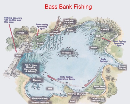 Bass Bank Fishing