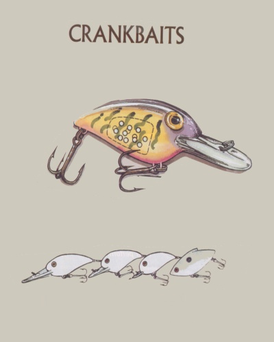 crank baits for bass fishing
